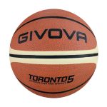 PALLONE BASKET TORONTO 5