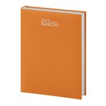AGENDA GIORNALIERA PB520
